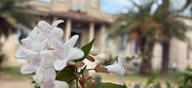 Equinoccio de septiembre 2025: cuándo empieza realmente la primavera