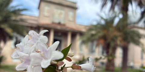 Equinoccio de septiembre 2025: cuándo empieza realmente la primavera