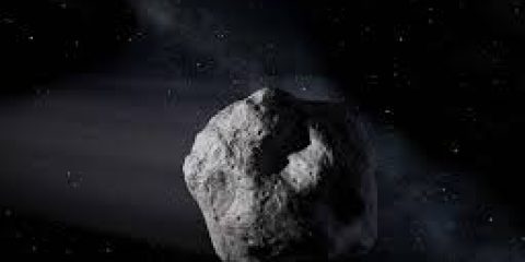 Día del Asteroide en el OAC