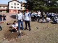 7BIS