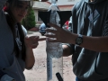 DSC_6710 copia