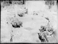 Carros de mula transportando escombros del edificio viejo 1924